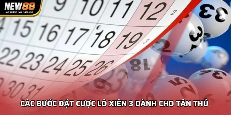 Các bước đặt cược lô xiên 3 dành cho tân thủ