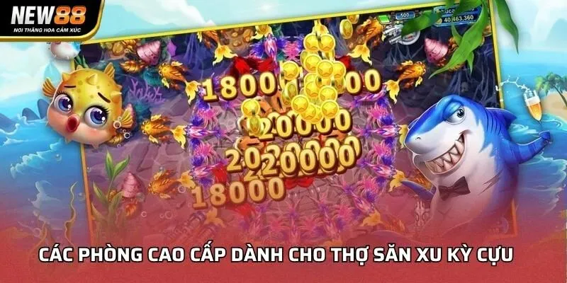 Các phòng cao cấp dành cho thợ săn xu kỳ cựu