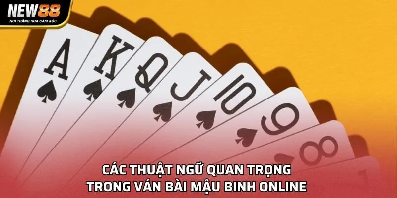 Các thuật ngữ quan trọng trong ván bài Mậu Binh online