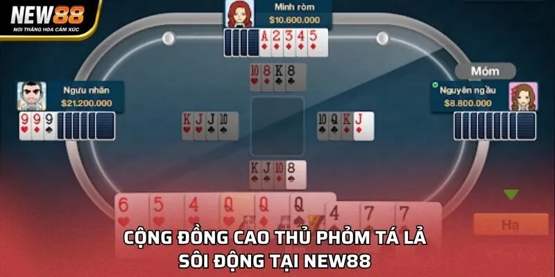 Cộng đồng cao thủ Phỏm Tá Lả sôi động tại NEW88