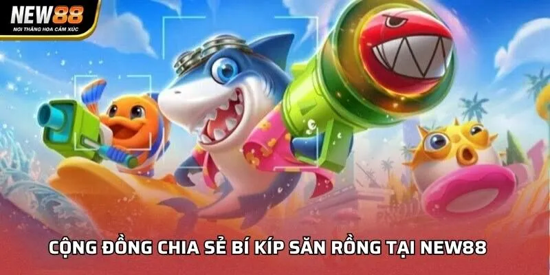 Cộng đồng chia sẻ bí kíp săn rồng tại NEW88