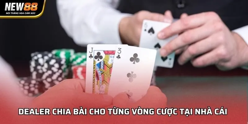 Dealer chia bài cho từng vòng cược tại nhà cái