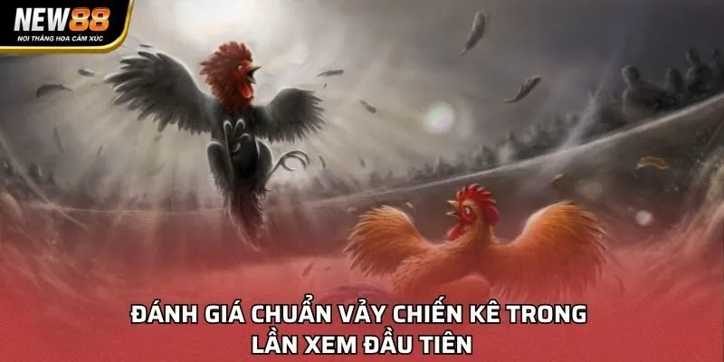 Đánh giá chuẩn vảy chiến kê trong lần xem đầu tiên