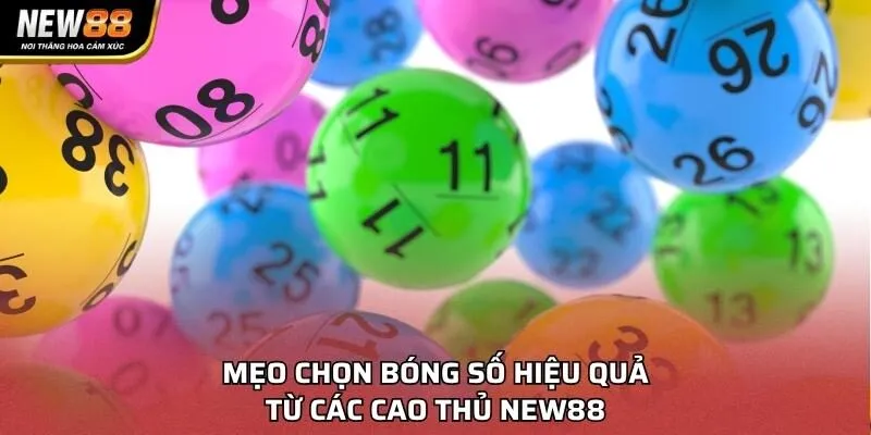Mẹo chọn bóng số hiệu quả từ các cao thủ NEW88