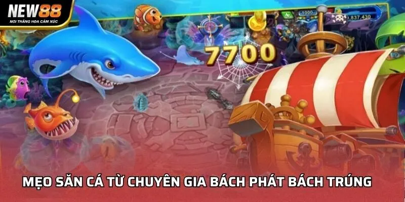 Mẹo săn cá từ chuyên gia giúp bách phát bách trúng