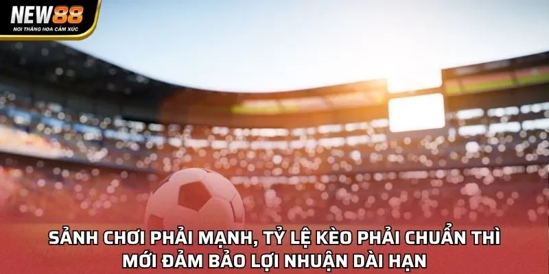 Sảnh chơi phải mạnh, tỷ lệ kèo phải chuẩn thì mới đảm bảo lợi nhuận dài hạn